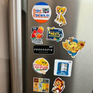 Printed Picture Magnets